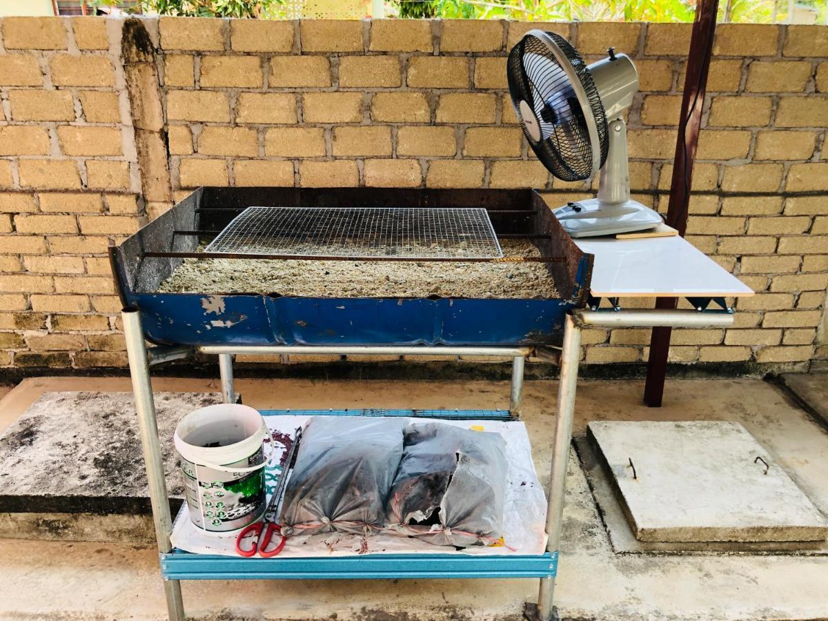 Homestay Tok Abah Dalam Rhu Pasir Puteh Kültér fotó